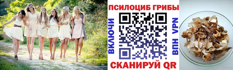 Псилоцибиновые грибы Psilocybe  наркотики  Зарайск 